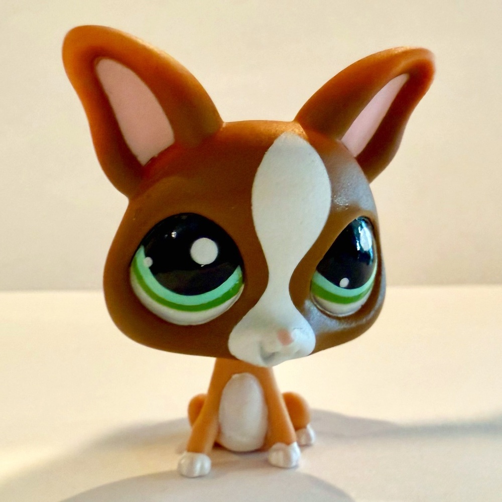 Littlest Pet Shop LPS 1568 Brown Chihuahua Dog ~ Authentic